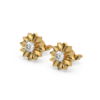 Golden Bloom - Lab Diamond Solitaire Stud Earrings