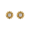 Golden Bloom - Lab Diamond Solitaire Stud Earrings